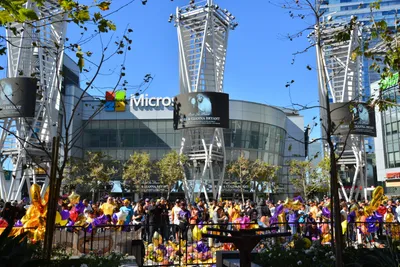 DSC_7107 (Large).JPG